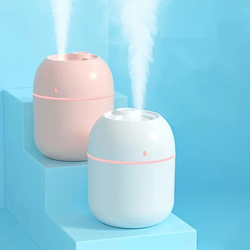 Portable Mini Spray Mist Humidifier